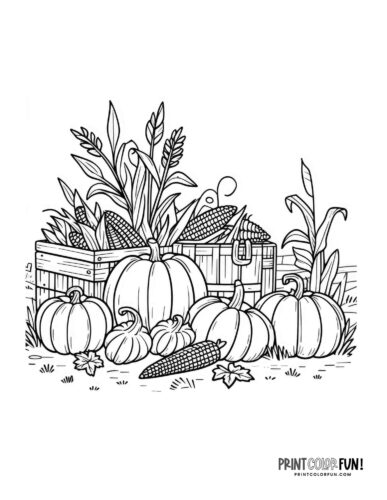 Free fall harvest coloring pages autumn pumpkin patches hay rides corn stalks at