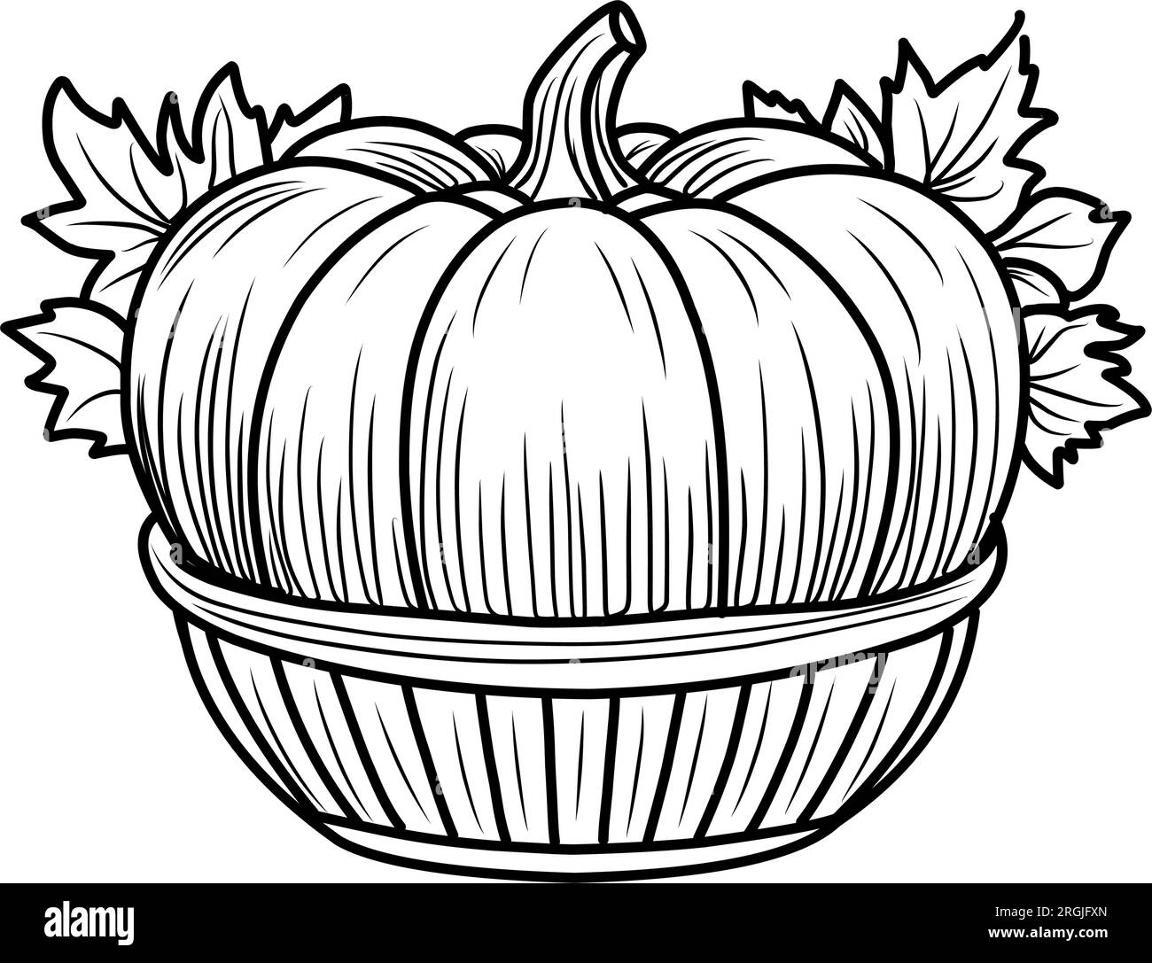 Coloring page with pumpkins and sunflowers autumn position for coloring black and white linear illustration stock vector image art