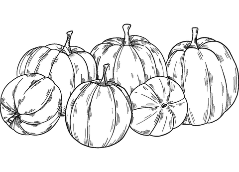 Pumpkin patch coloring page free printable coloring pages