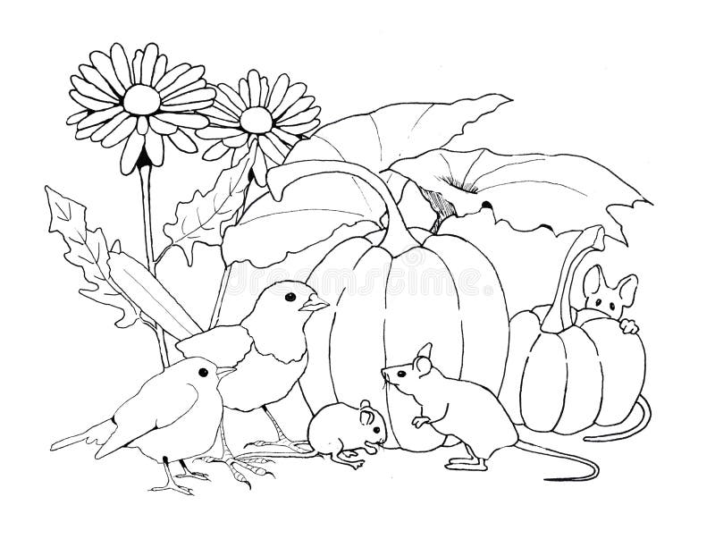 Fall pumpkin patch coloring stock illustrations â fall pumpkin patch coloring stock illustrations vectors clipart