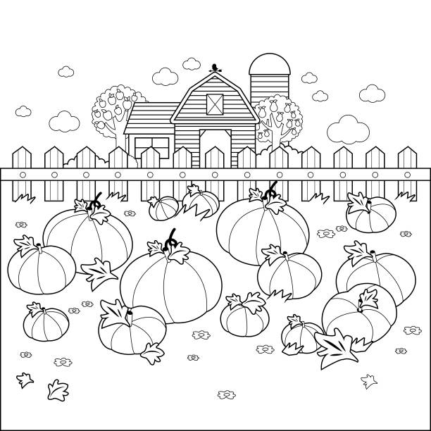 Black and white pumpkin stock illustrations royalty