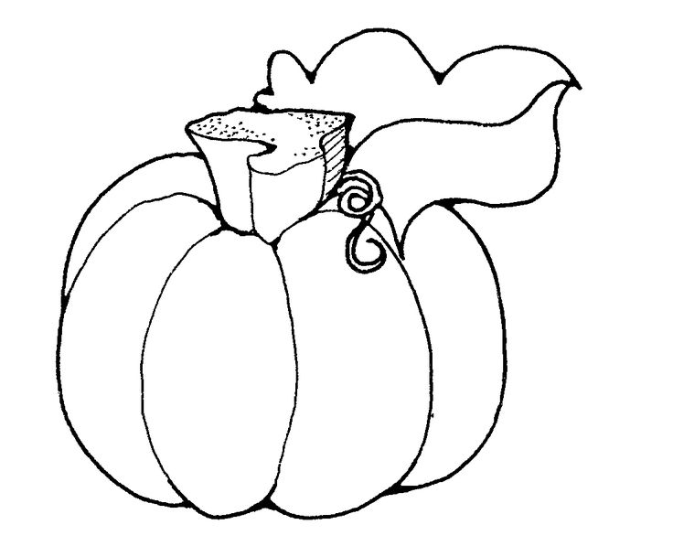 Free printable pumpkin coloring pages for ks pumpkin coloring pages pumpkin pictures pumpkin coloring sheet