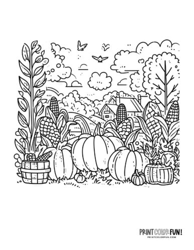 Free fall harvest coloring pages autumn pumpkin patches hay rides corn stalks at