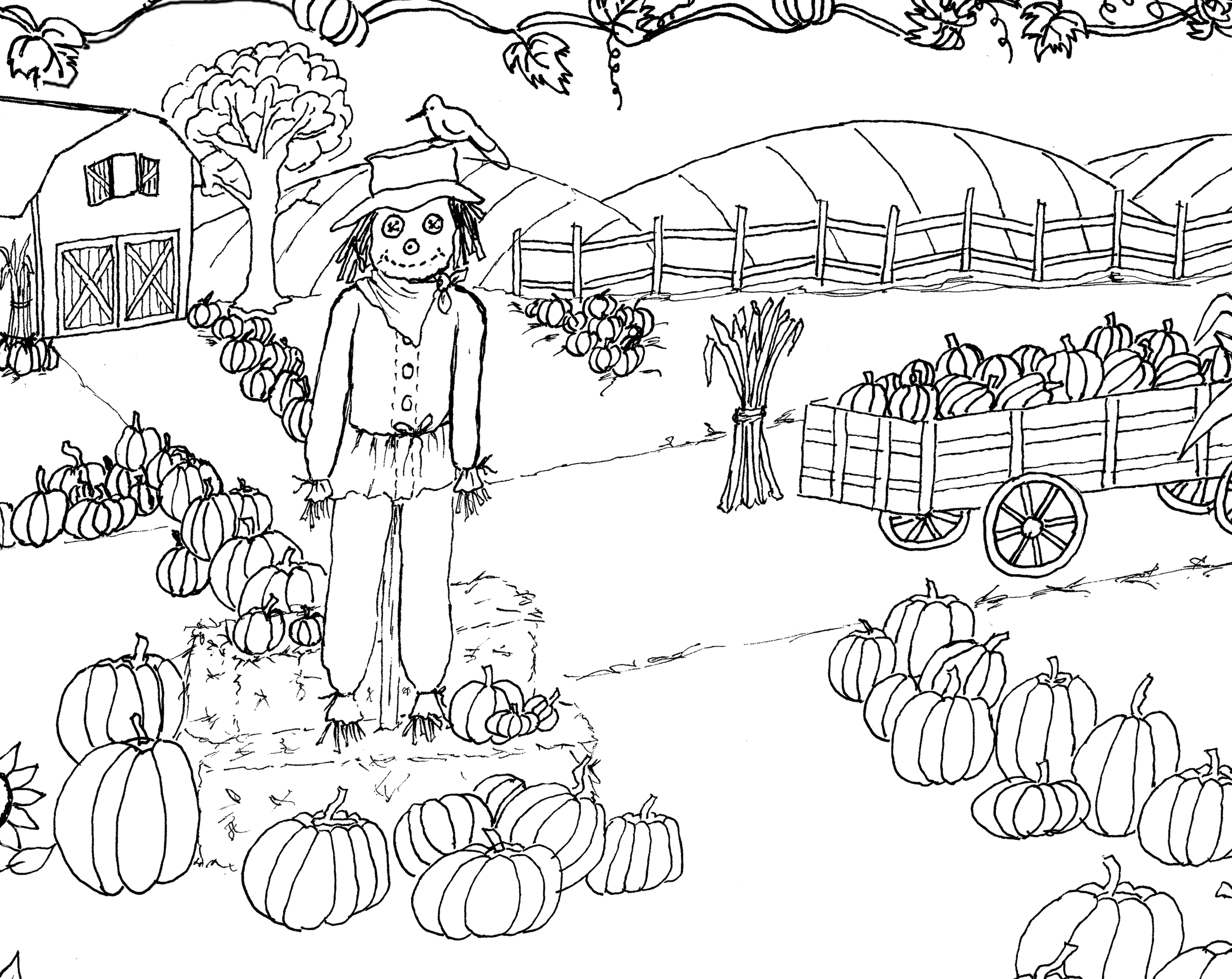 Pumpkin patch coloring page printable