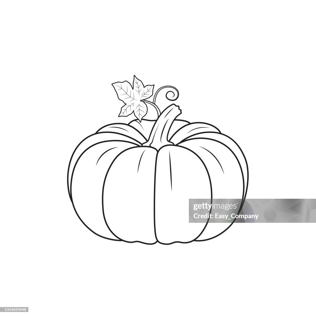 Vector illustration of pumpkin isolated on white background organic vegetables and fruits cartoon concepts education and school kids coloring page printable activity worksheet flashcard high