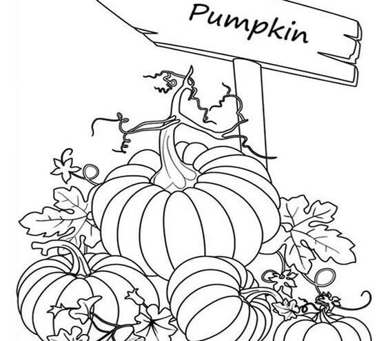 Free easy to print pumpkin coloring pages