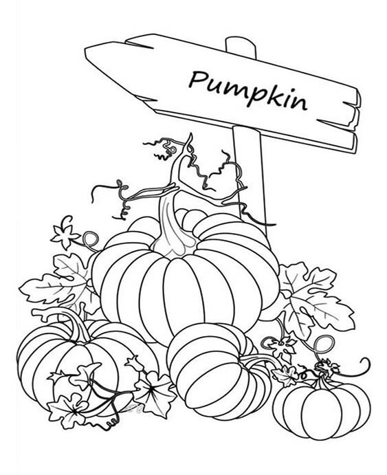Free easy to print pumpkin coloring pages