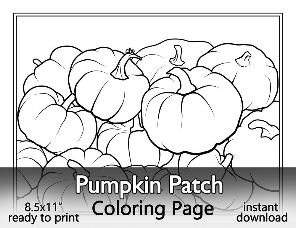 Pumpkin patch coloring page printable instant download standard x letter size autumn harvest gourd illustration fun for all ages