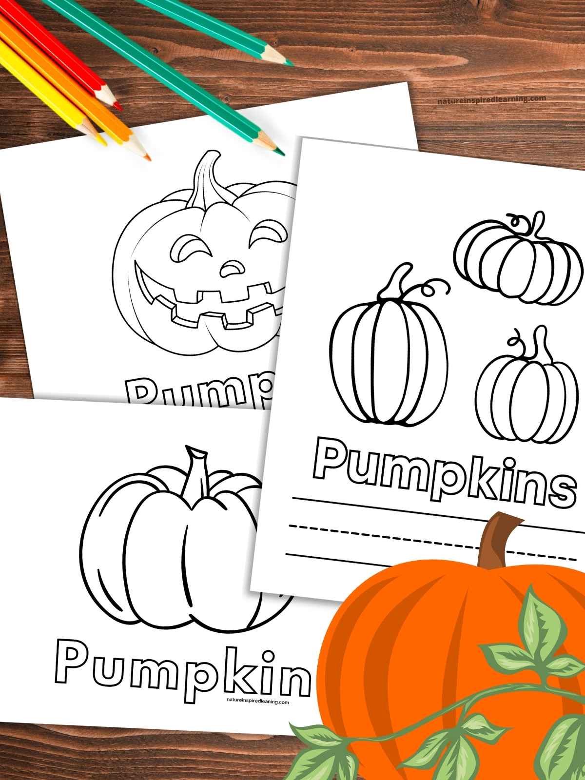 Pumpkin coloring pages