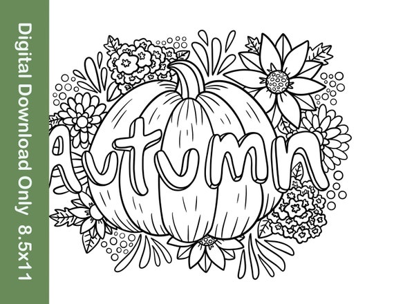 Autumn coloring page pumpkin coloring page fall coloring page flower coloring page digital download