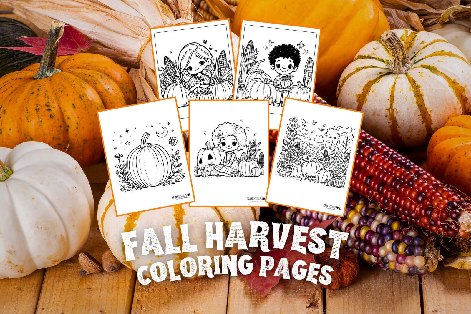 Free fall harvest coloring pages autumn pumpkin patches hay rides corn stalks at