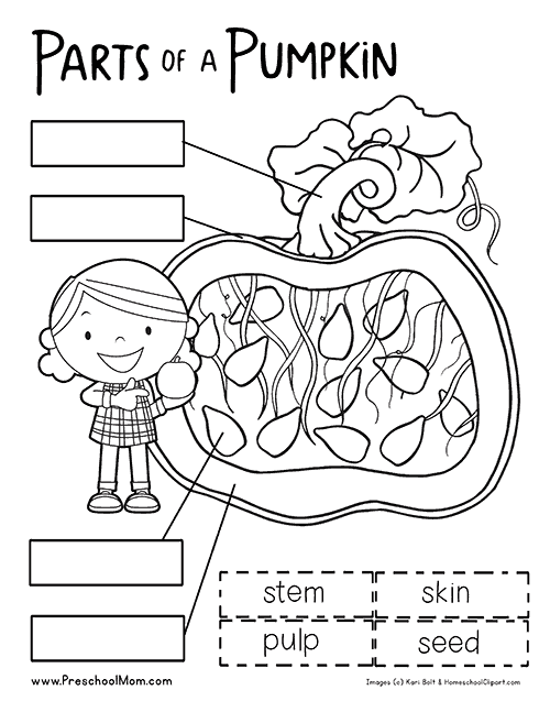 Pumpkin preschool printables