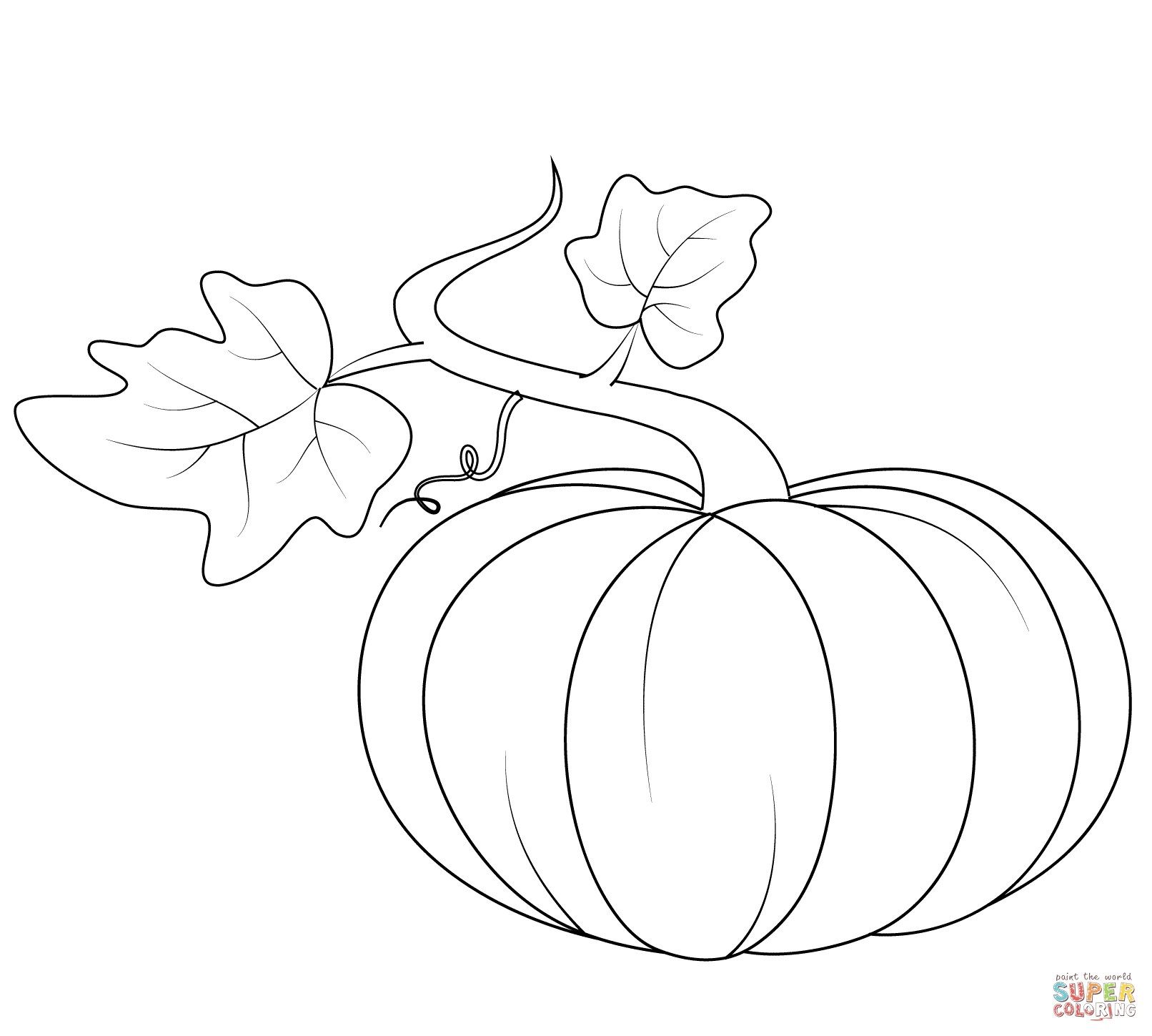 Creative photo of pumpkin coloring pages