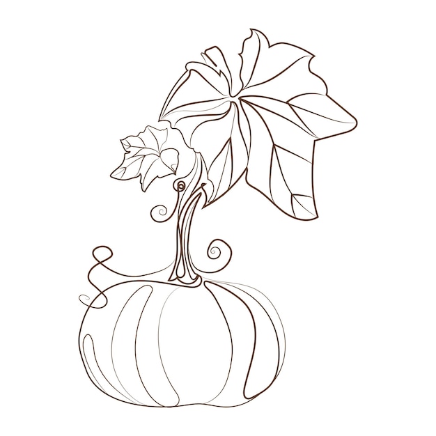 Premium vector pumpkin with stem and leaves line art drawing style vector illustrationminimalist liner sketch