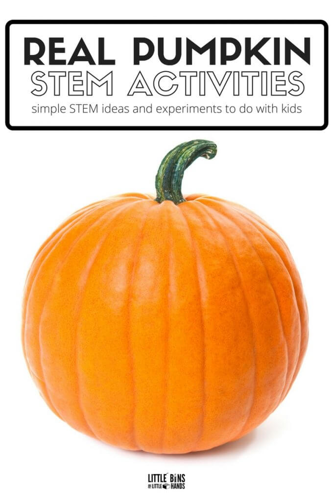 Pumpkin stem activities for fall