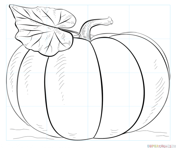 How to draw a pumpkin step by step drawing tutorials