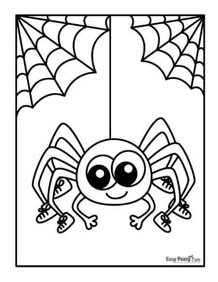 Printable spider coloring pages â sheets