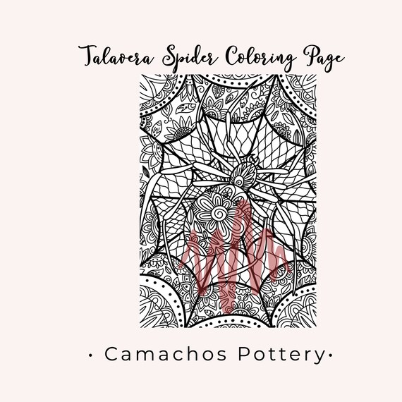 Spider coloring page spider web coloring page printable