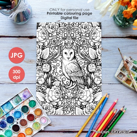 Barn owl colouring page printable jpg coloring page adults children art nouveau lineart halloween witch drawing painting medusa dollmaker