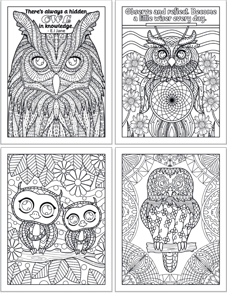 Free printable owl coloring pages for adults