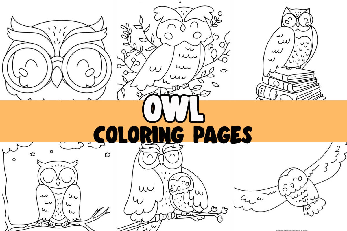 Owl coloring pages free printables