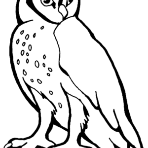 Owl coloring pages printable for free download