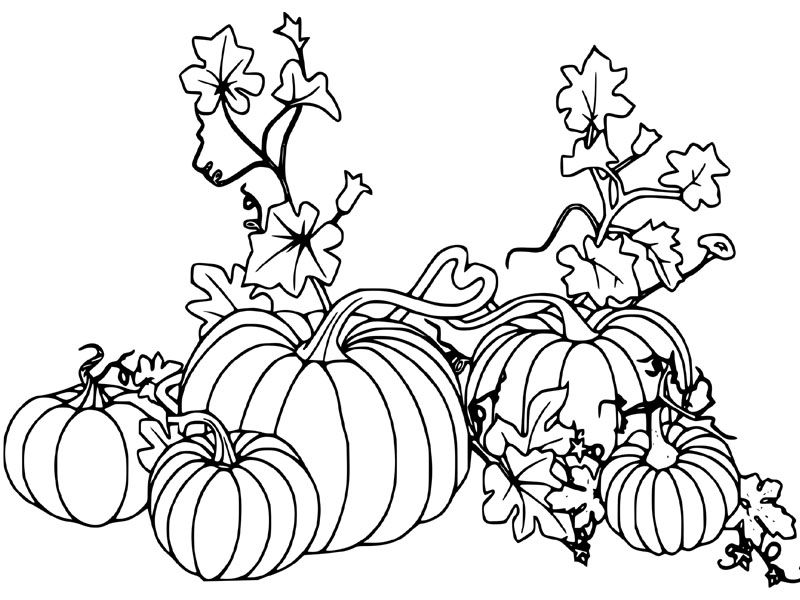 Mystical pumpkin coloring pages with colouring tips