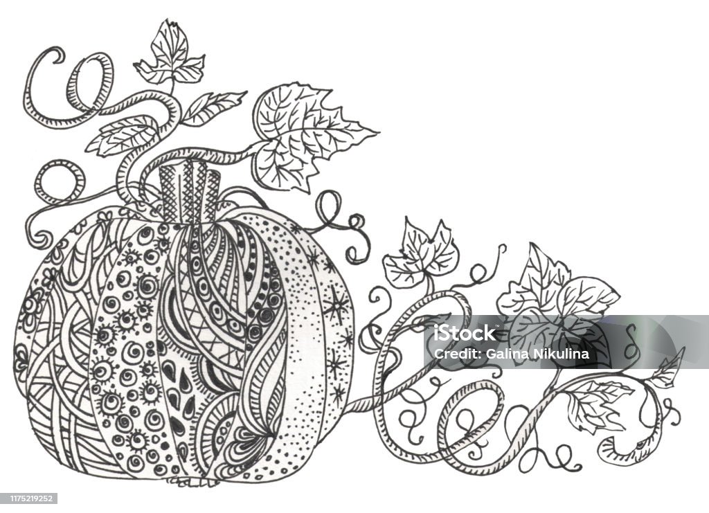 Fairy doodle tungle pumpkin black and white monochrome background pumpkin and leaves zentangle coloring book page stock illustration