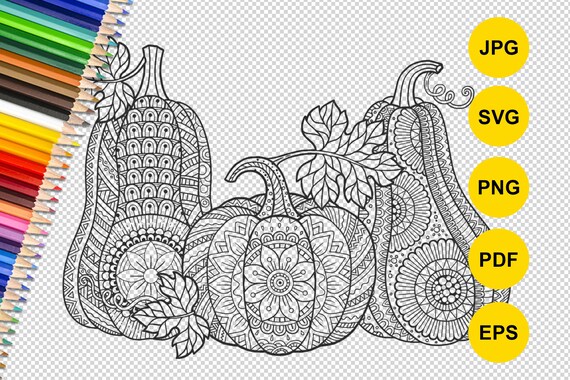 Autumn vector coloring for adults pumpkins in mandala style printable zentangle coloring for thanksgiving and halloween png svg jpeg