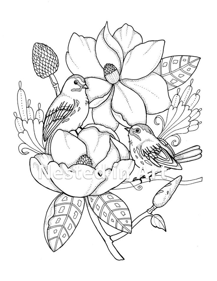 Punch needle pattern coloring book page birds with magnolias original art digital download download now