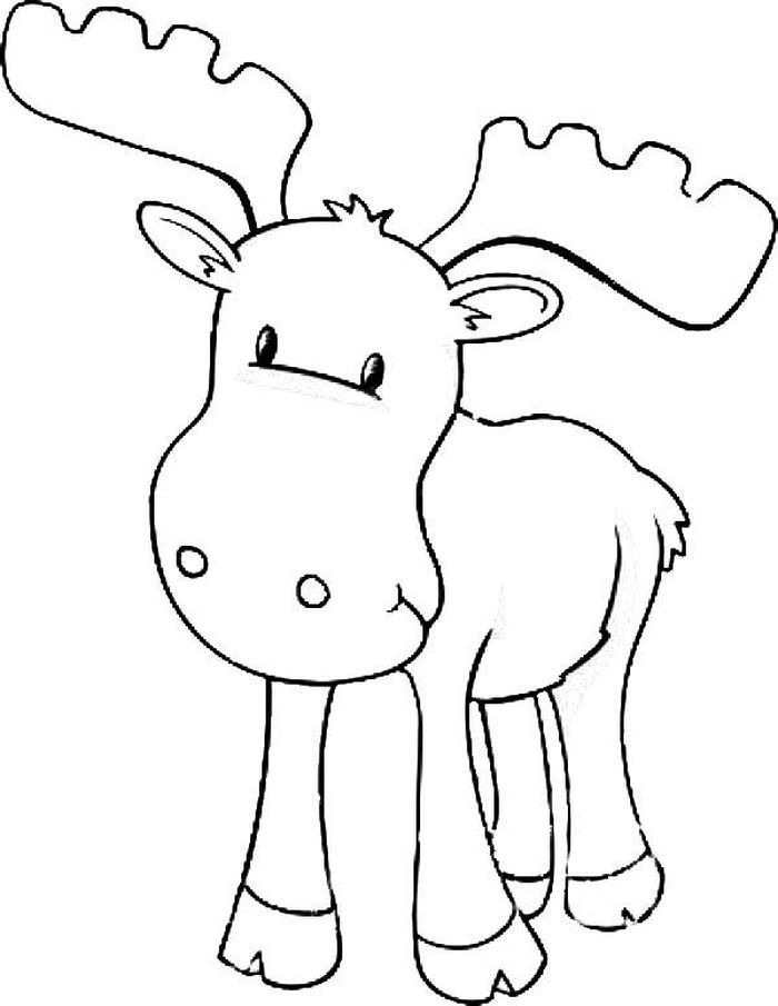 Moose coloring pages for kids pdf printable