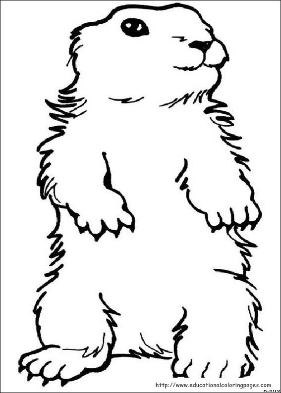 Groundhog day coloring pages