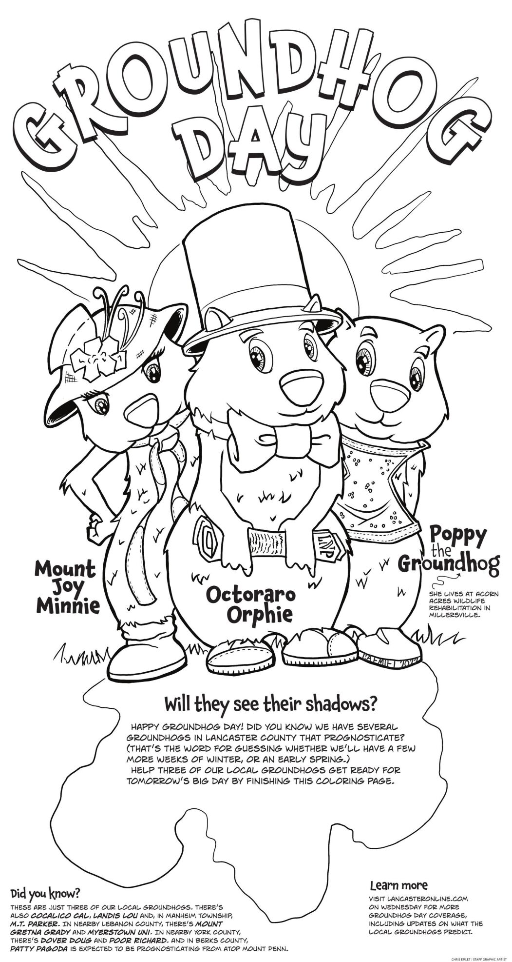 Groundhog coloring page