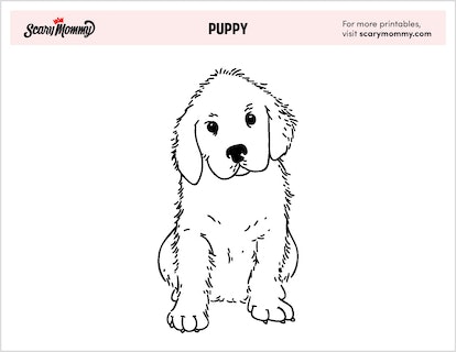 Precious puppy coloring pages for kiddos who want a dog