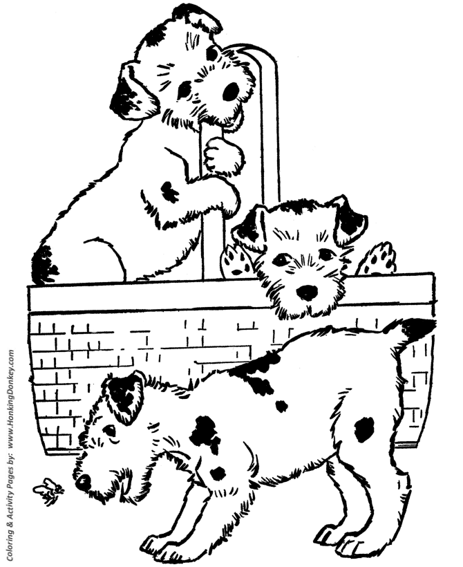 Dog coloring pages printable puppies in a basket coloring page sheet and kids activity page