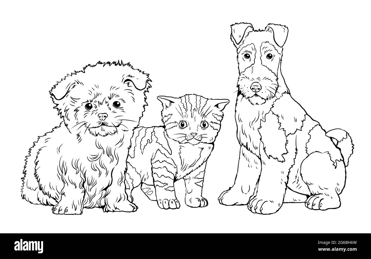 Friends puppy and kitten cute dogs puppies coloring book template digital illustration stock photo