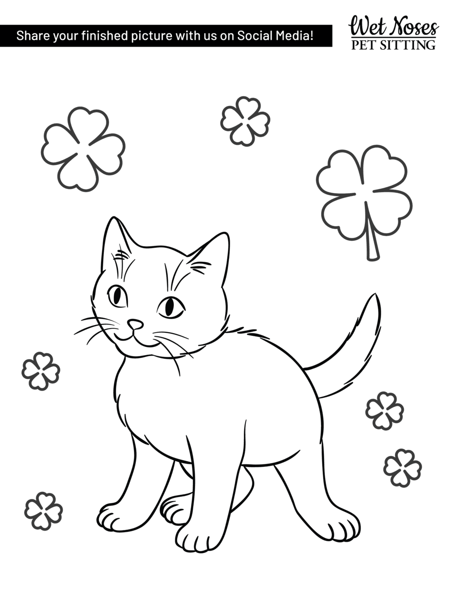 Saint patricks day dog and cat coloring sheets