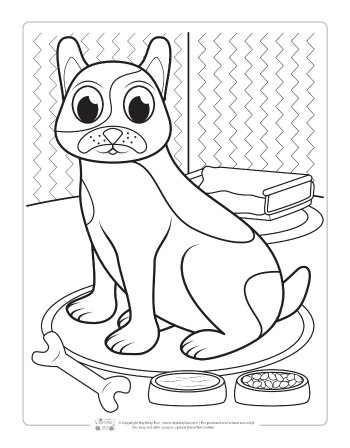 Pets coloring pages for kids