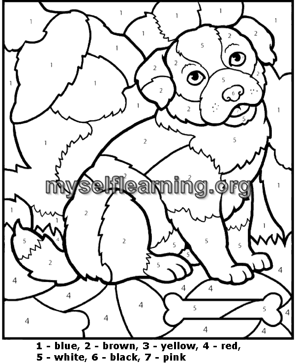 Coloring by number education sheet instant download