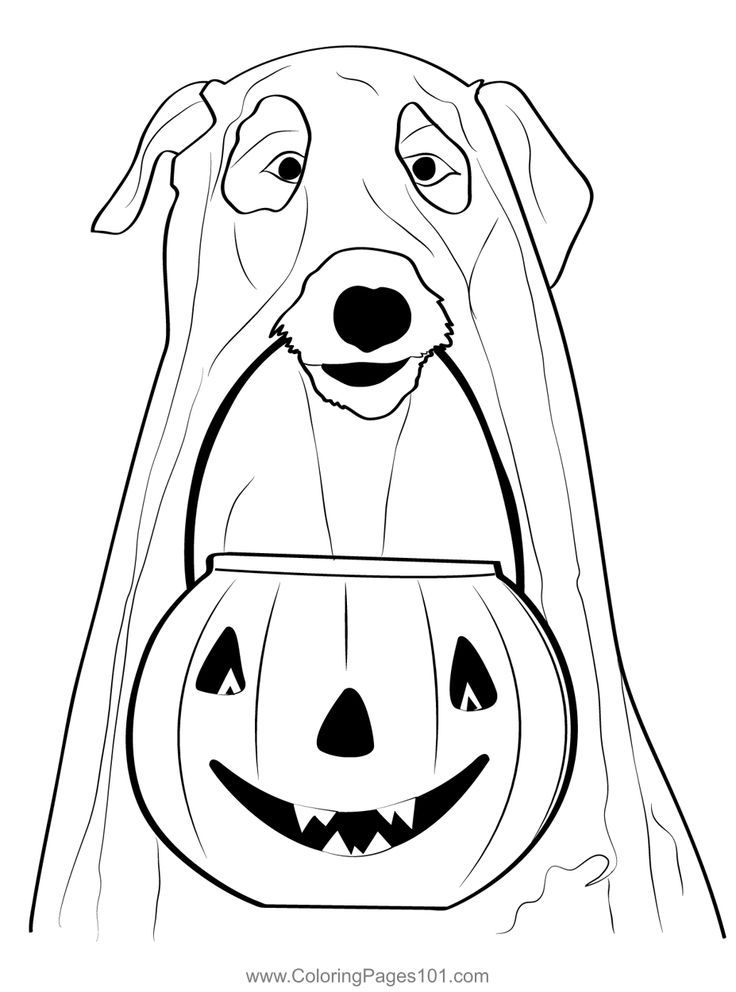 Dogs pumpkin ghost coloring page dog coloring page coloring pages dog pumpkin