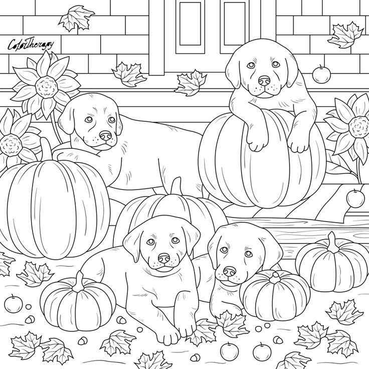 The sneak peek for the next gift of the day tomorrow do you like this one puppies pumpkins âââââââ fall coloring pages coloring pages pumpkin coloring pages