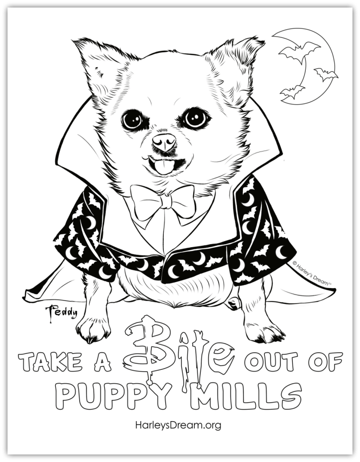 Take a bite out of puppy mills â downloads â harleys dream â end puppy mills