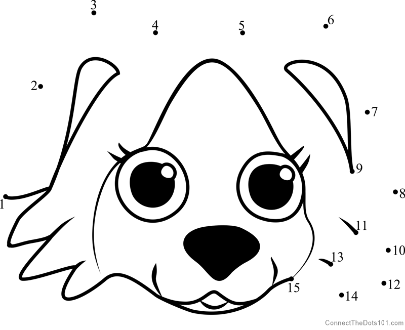 Pet parade border collie puppy face dot to dot printable worksheet