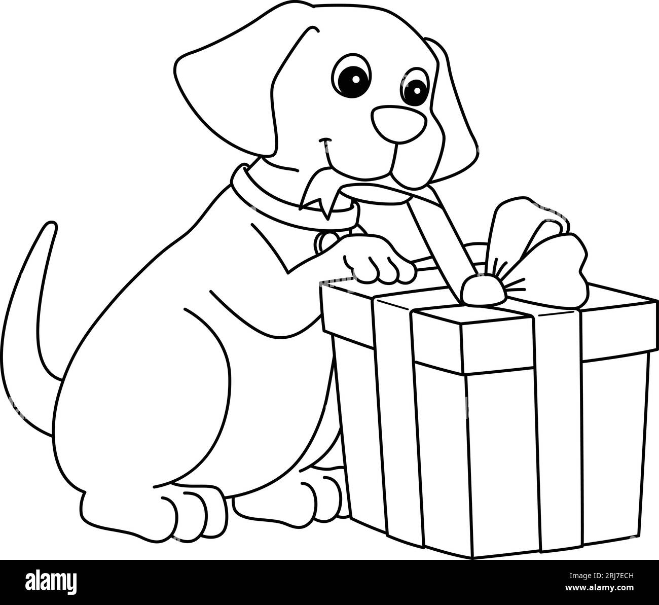 Birthday dog black and white stock photos images