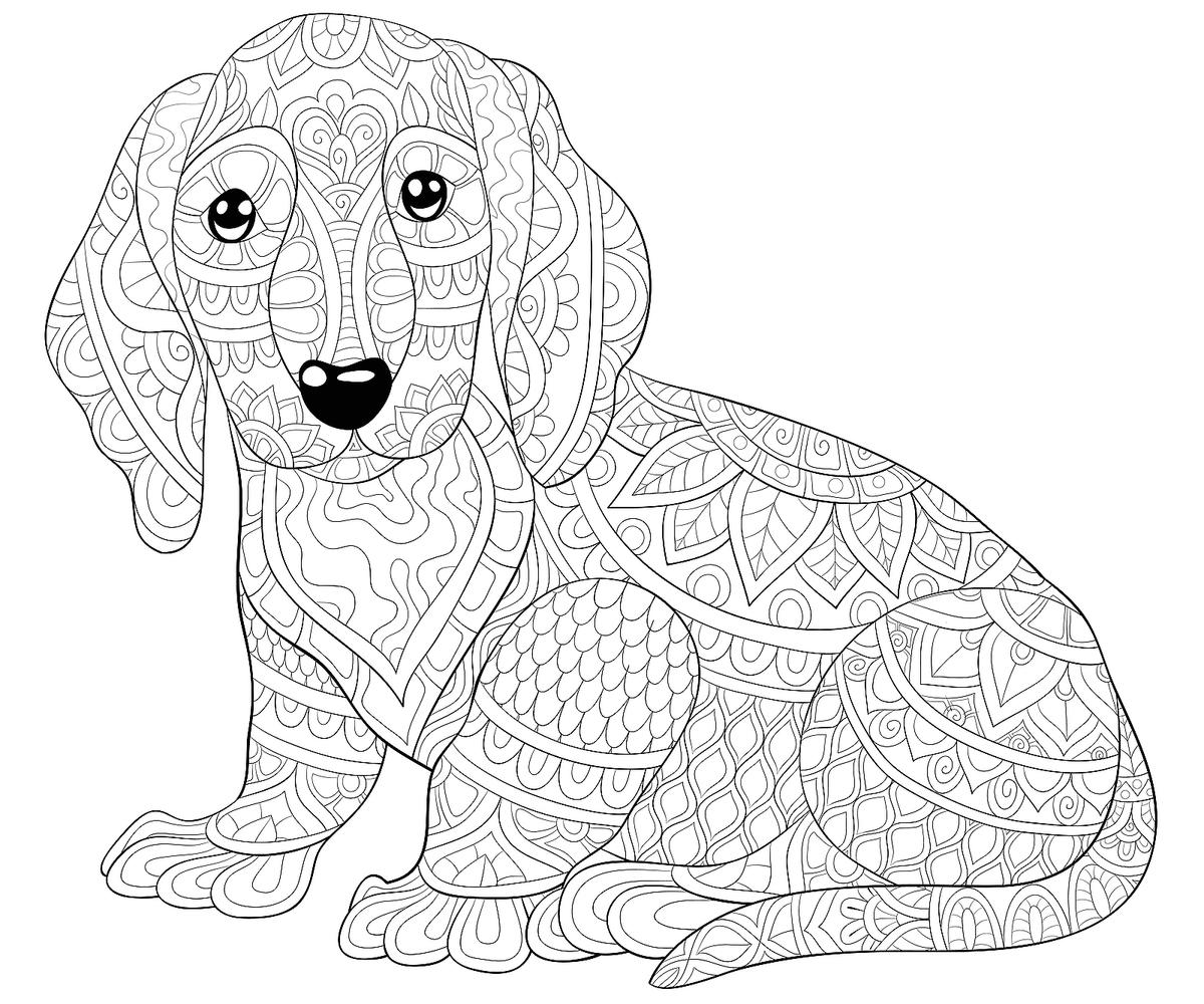 Dog coloring pages free printable coloring pages of dogs for dog lovers of all ages printables mom