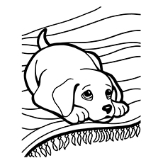 Top free printable puppy coloring pages online