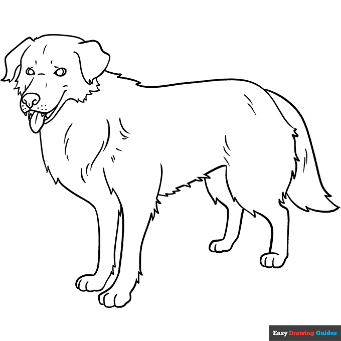 Free printable dog coloring pages for kids