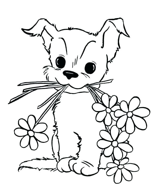 Baby animal coloring pages