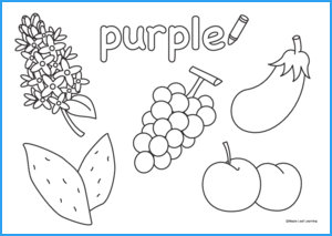 Purple coloring worksheet maple leaf learning library