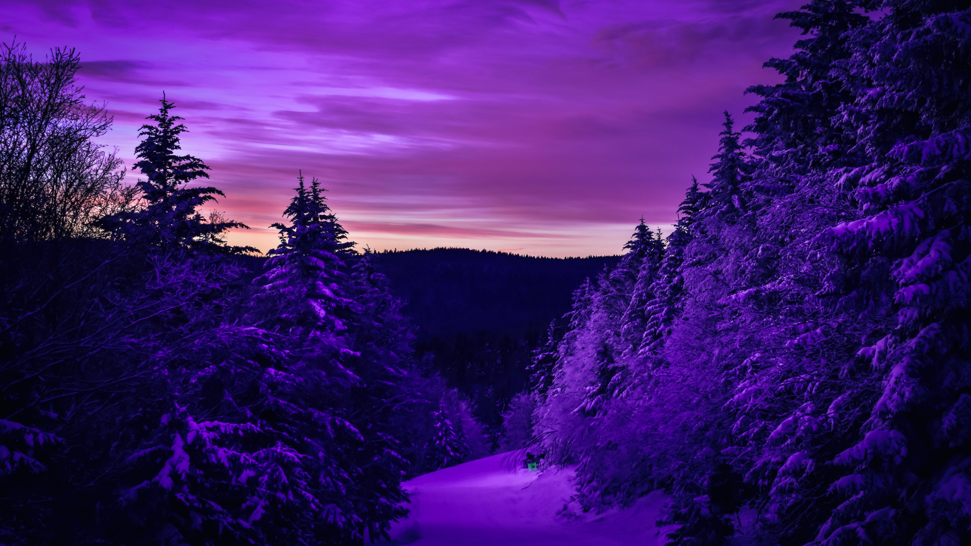 Cute purple aesthetic wallpaper desktop free